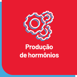 Produção de hormônios