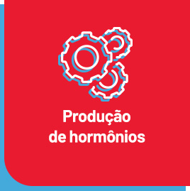 Produção de Hormônios