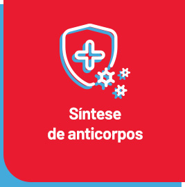 Síntese de Anticorpos